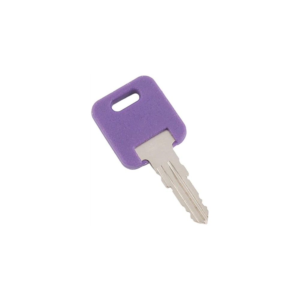 013-690303 (AP PRODUCTS) CLÉ DE RECHANGE SÉRIE G CODE 303