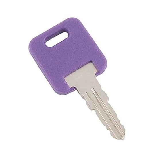 013-690317 (AP PRODUCTS) CLÉ DE RECHANGE SÉRIE G CODE 317