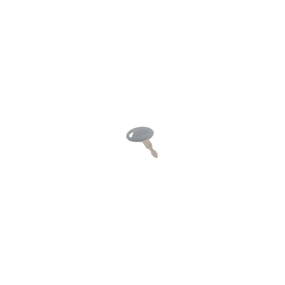 013-690310 (AP PRODUCTS) CLÉ DE RECHANGE GLOBAL CODE 310