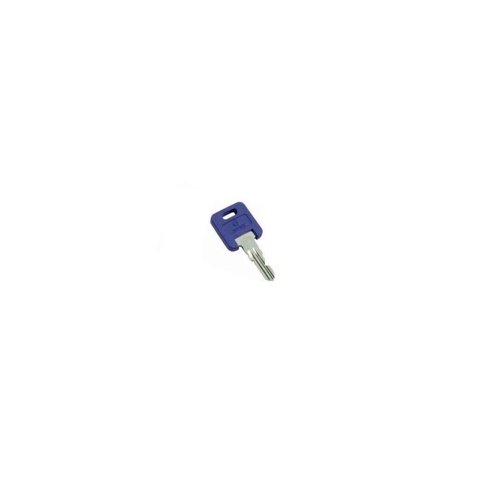 013-690389 (AP PRODUCTS) CLÉ DE RECHANGE GLOBAL SÉRIE G CODE 389